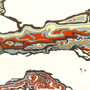 APOPHENIA-12-18x3622-squashed