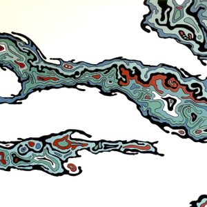 APOPHENIA-13-18x3622-squashed